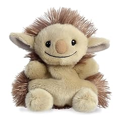 Aurora adorable palm for sale  Delivered anywhere in USA 