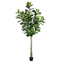 Vickerman everyday faux for sale  Delivered anywhere in USA 