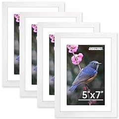 Fixsmith 5x7 picture for sale  Delivered anywhere in USA 