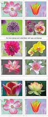 Garden beauty first for sale  Delivered anywhere in USA 