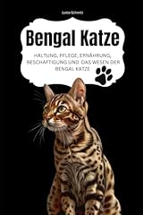 Bengal katze haltung gebraucht kaufen  Wird an jeden Ort in Deutschland