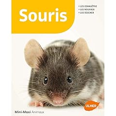 Souris d'occasion  Livré partout en France