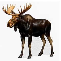 Moose cutout life for sale  Delivered anywhere in USA 