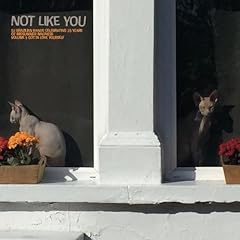 Hate post for sale  Delivered anywhere in UK