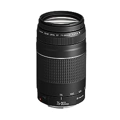 Canon 300mm 4.0 d'occasion  Livré partout en Belgiqu