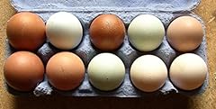 Bunte hühner eier gebraucht kaufen  Wird an jeden Ort in Deutschland