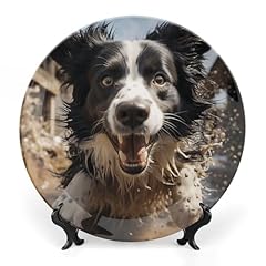 Ghepsdw pastor border for sale  Delivered anywhere in UK