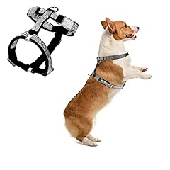 Meiaobest hundegeschirr reflek gebraucht kaufen  Wird an jeden Ort in Deutschland