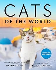 Cats for sale  Delivered anywhere in USA 