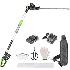Pole hedge trimmer for sale  Delivered anywhere in USA 