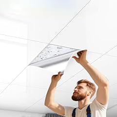 Deckenplatten selbstklebend se gebraucht kaufen  Wird an jeden Ort in Deutschland