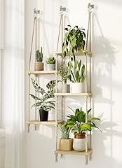 Bamworld window plant for sale  Delivered anywhere in USA 