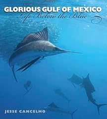 Glorious gulf mexico for sale  Delivered anywhere in USA 