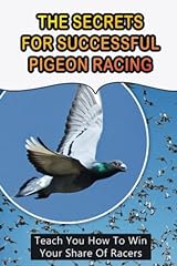 Secrets successful pigeon for sale  Delivered anywhere in Ireland