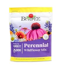 Burpee wildflower 000 for sale  Delivered anywhere in USA 