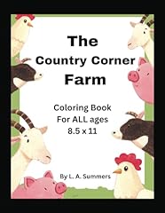 The country corner usato  Spedito ovunque in Italia 