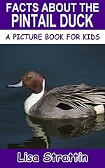 Facts pintail duck for sale  Delivered anywhere in USA 