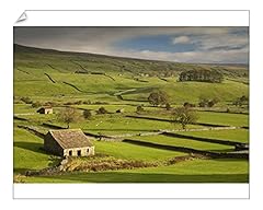Robertharding wensleydale ston for sale  Delivered anywhere in UK