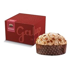 Galup panettone artigianale usato  Spedito ovunque in Italia 