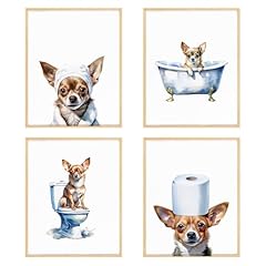 Brrnyoi chihuahua dog for sale  Delivered anywhere in USA 