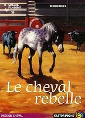 Cheval fantome cheval d'occasion  Livré partout en France