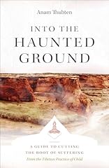 Into the haunted d'occasion  Livré partout en France