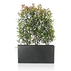 Idealist 85cm large for sale  Delivered anywhere in UK