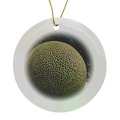 Circle porcelain ornament for sale  Delivered anywhere in USA 