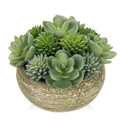 Briful artificial succulent for sale  Delivered anywhere in USA 