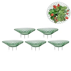 Generisch support fraises d'occasion  Livré partout en France