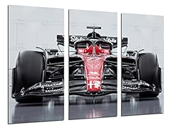 Quadro moderno fotografico usato  Spedito ovunque in Italia 