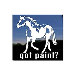 Got paint american for sale  Delivered anywhere in USA 