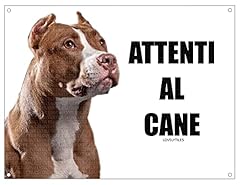 Pitbull attenti cane usato  Spedito ovunque in Italia 