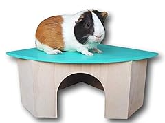 Piggies choice space for sale  Delivered anywhere in USA 