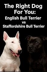 Right dog english for sale  Delivered anywhere in UK