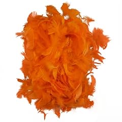 Netuno 150 plumes d'occasion  Livré partout en France