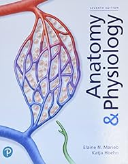 Anatomy physiology for sale  Delivered anywhere in USA 