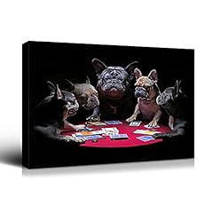 Algasan french bulldogs for sale  Delivered anywhere in USA 