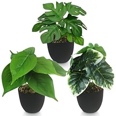 Insanyj fausse plante d'occasion  Livré partout en France