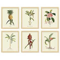Decor vintage botanical for sale  Delivered anywhere in USA 