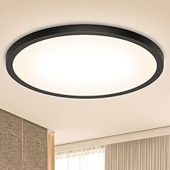 Deckenlampe led deckenleuchte gebraucht kaufen  Wird an jeden Ort in Deutschland