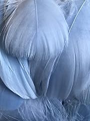 Baby blue feathers for sale  Delivered anywhere in UK