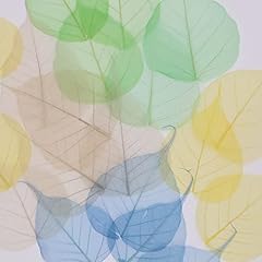 Coloured skeleton leaves for sale  Delivered anywhere in UK