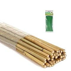 Bamboo stakes 100 for sale  Delivered anywhere in USA 