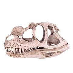 Viferr dinosaurier schädel gebraucht kaufen  Wird an jeden Ort in Deutschland