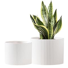 Swkien ceramic plant for sale  Delivered anywhere in USA 