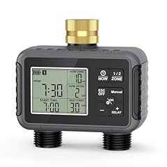 Riogoo timer per usato  Spedito ovunque in Italia 