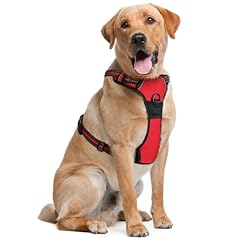 Dog harness large for sale  Delivered anywhere in UK