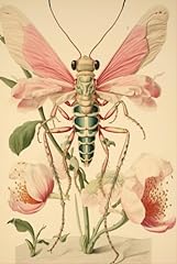 Orchid mantis notebook for sale  Delivered anywhere in UK