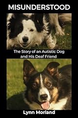 Misunderstood story autistic for sale  Delivered anywhere in UK